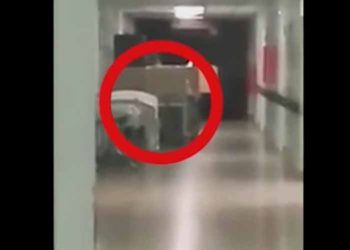 Sin_titulo-1_GP51etU