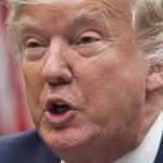 Centenar de expertos denuncian nuevo decreto migratorio de Trump