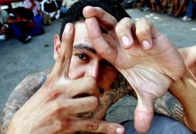 Pandilleros de la Mara Salvatrucha con más presencia en México