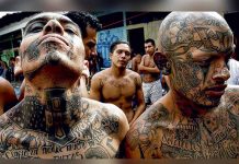 El Salvador: Diputados acuerdan penas más duras contra las maras