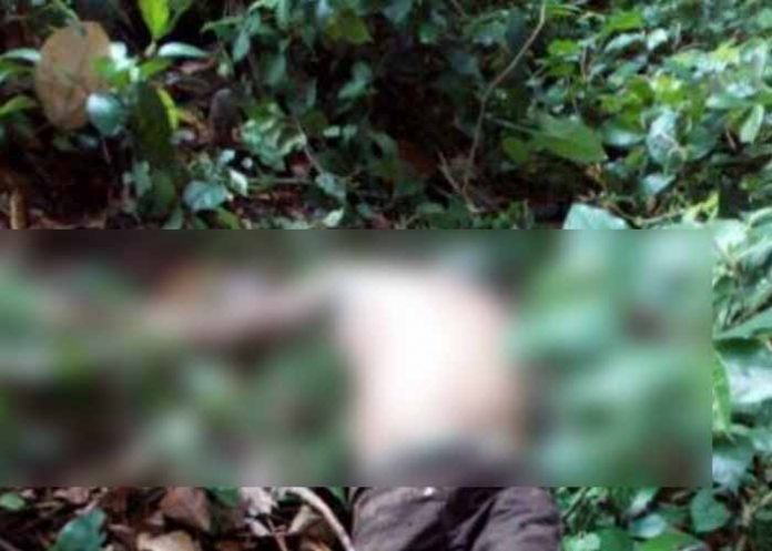 Sin_titulo-1_GvwTr3y