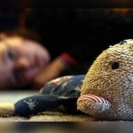 Chile: Más de 12 mil niños fueron víctimas de violación en los últimos 4 años