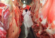 Exportación de carne uruguaya crece en 2017 con China como principal destino