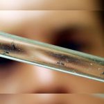 Costa Rica: Lluvias incrementan casos de dengue, zika y chikungunya