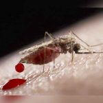 Especialistas estudian los efectos del zika en mujeres de 7 países de Latinoamérica