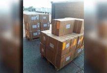 Panamá: Decomisan cargamento de viagra cuyo destino era Honduras