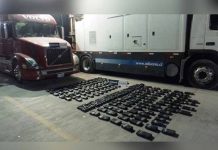 Camionero intenta ingresar a Chile más de 200 kilos de cocaína