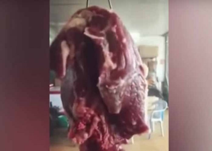 Sin_titulo-1_JBicPgV