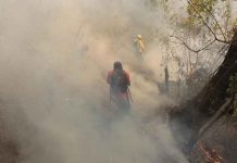 Continúan sin control los incendios en el norte de Guatemala