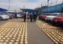 Decomisan en Chile 825 kilos de cocaína y detienen a 12 narcotraficantes