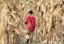 Guatemala se prepara para enfrentar fenómeno de El Niño