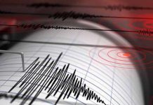 Difunden videos de potencial terremoto que sacudió a Honduras