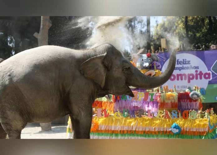 Sin_titulo-1_LFdqGmC