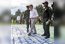 Colombia: Policía incauta más de 12 toneladas de cocaína del Clan del Golfo
