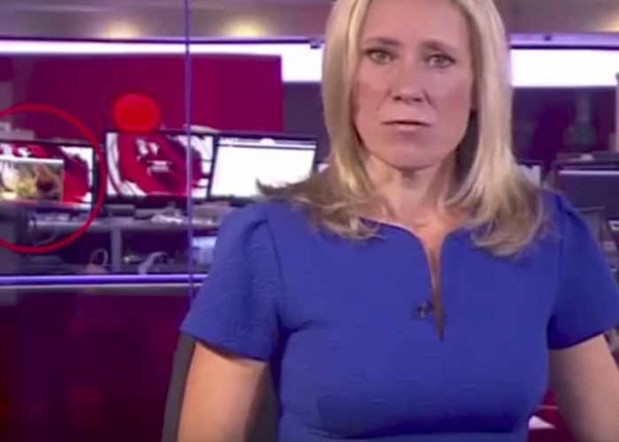 Sin_titulo-1_MZ6OOHS