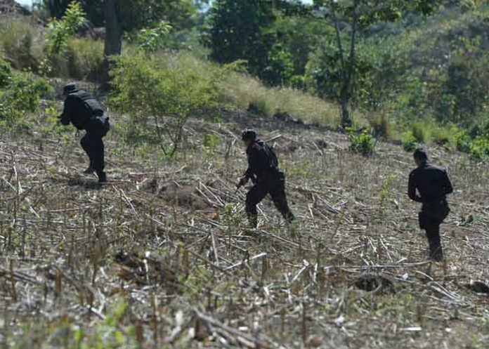 Sin_titulo-1_N0hUzWp