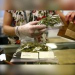 Uruguay anuncia apertura de registro para comprar marihuana