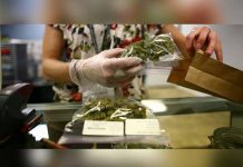 Uruguay anuncia apertura de registro para comprar marihuana