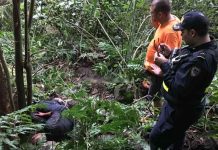 Costa Rica: Ladrón se desnuca al lanzarse a guindo tras persecución policial