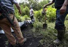 Hallan fosa con seis cuerpos cerca de balneario mexicano