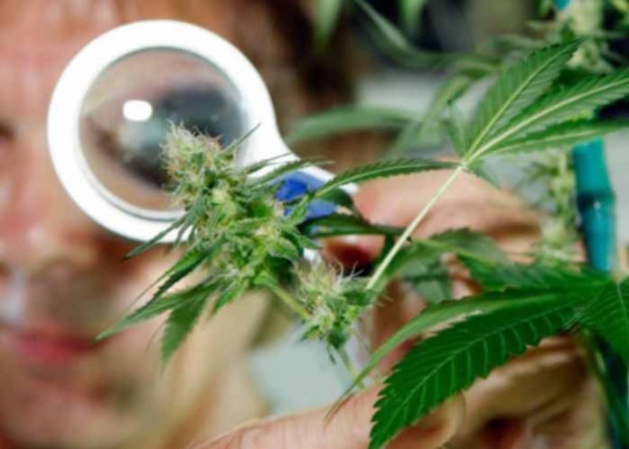 Sin_titulo-1_Ne4bvuz