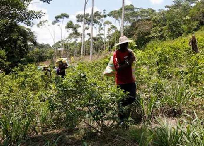 Sin_titulo-1_NgYb3UN