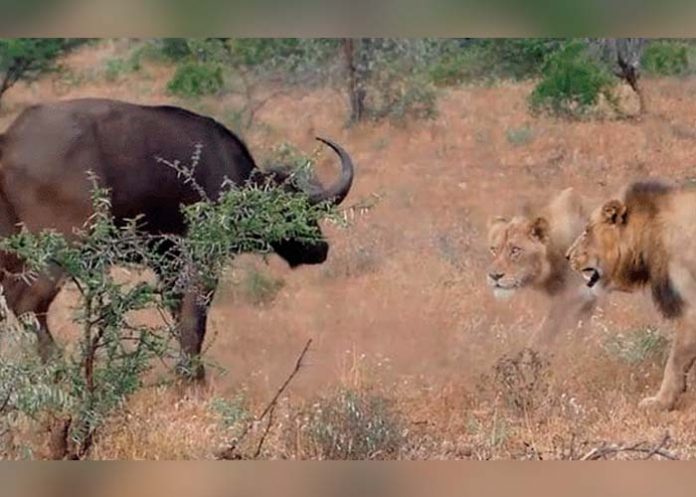 Sin_titulo-1_OUU6a86