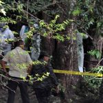 Honduras: Pandilleros decapitan a Eddie Murphy