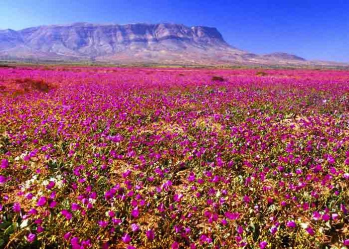 Sin_titulo-1_OpdQaHw