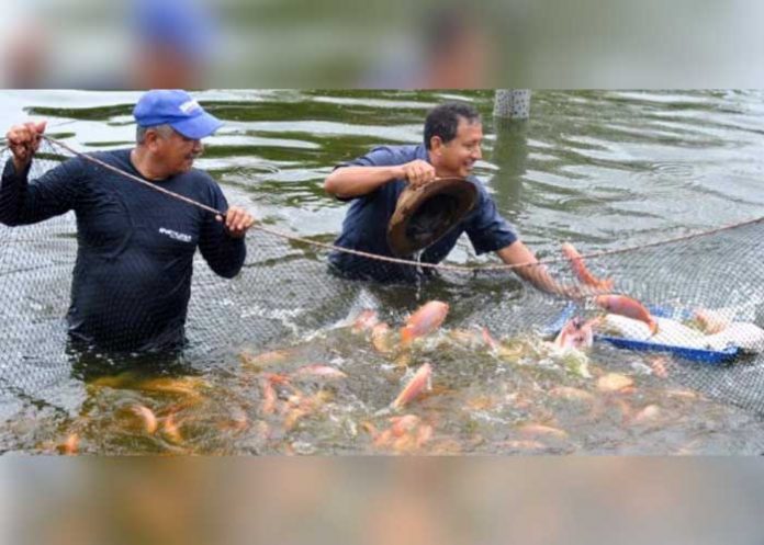 Sin_titulo-1_PSgywgJ