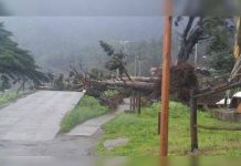 Aumenta a 4 los fallecidos por temporal lluvioso en Chile