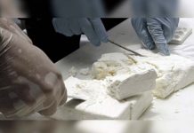 Costa Rica: Decomisan más de una tonelada de cocaína oculta en una fosa