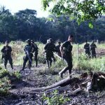 Rescatan a policía retenido por cultivadores de coca en Colombia