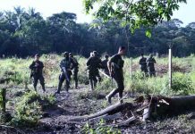 Rescatan a policía retenido por cultivadores de coca en Colombia