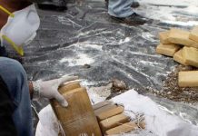 Autoridades decomisan 3,5 toneladas de cocaína en Ecuador