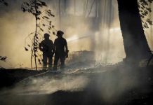 Italia: Continúan incendios forestales propiciados por la sequía