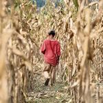 Reportan sequía en cinco departamentos de El Salvador