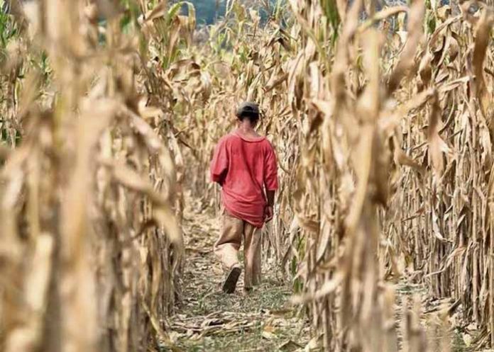 Sin_titulo-1_SMpKhZD