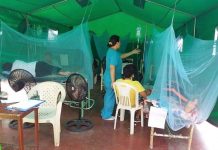 Reportan 18 muertos por brote de dengue en Perú