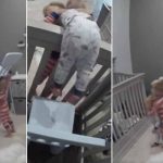 Travesura de niños encantan las redes sociales