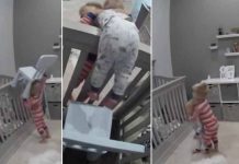 Travesura de niños encantan las redes sociales