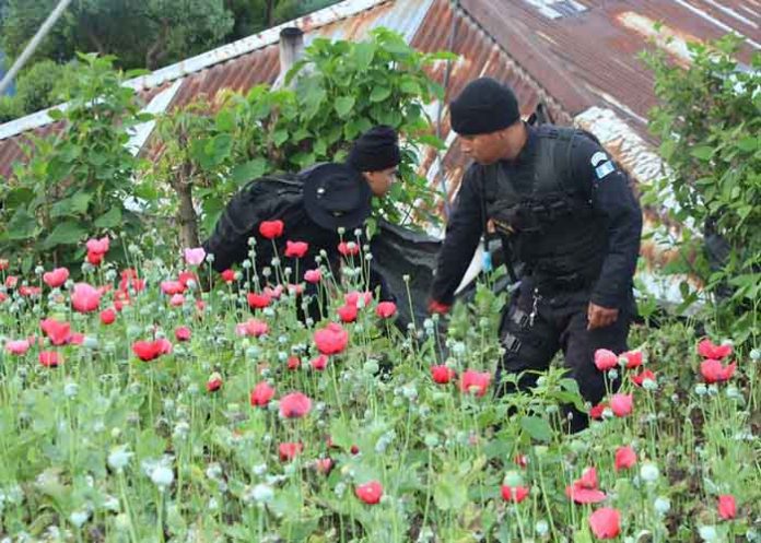 Sin_titulo-1_TCqS6Ym