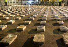 Guatemala: Incautan 950 kilos de cocaína y detienen a 7 personas