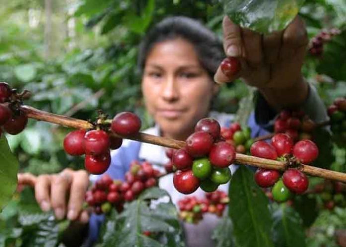 Sin_titulo-1_Us0RKVz