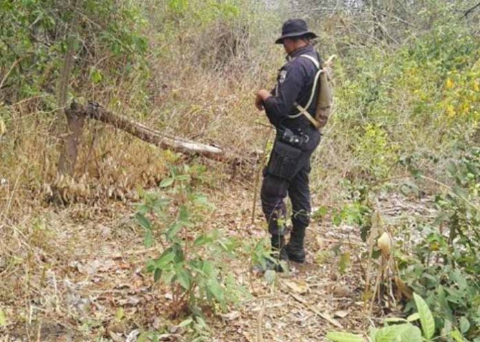 Sin_titulo-1_VIYj4Qk