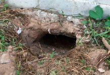 Más de 90 presos huyen por un túnel en cárcel en Brasil