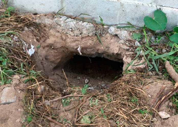 Sin_titulo-1_W5ALZYx