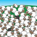 Nuevo desafío enloquece en las redes sociales