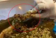 Alerta en México por presunta venta de tamales con carne de perro