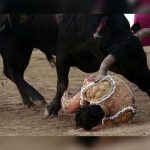 Muere el torero español Iván Fandiño tras sufrir grave cornada